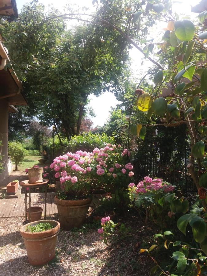 Lupo Azzurro Bed & Breakfast Siena Bagian luar foto